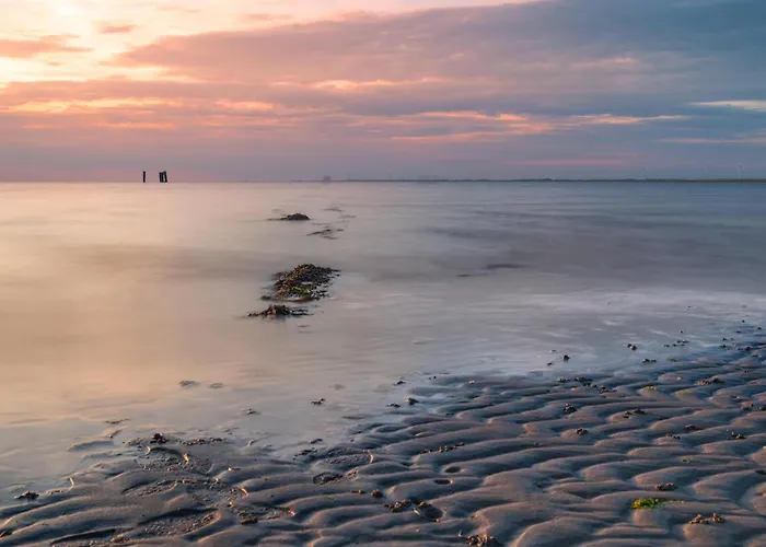 Bude 7 Apartment Dagebuell